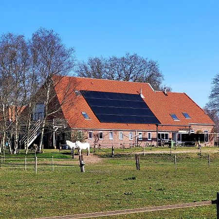 Slaopen En Stoet Panzió Anderen Kültér fotó